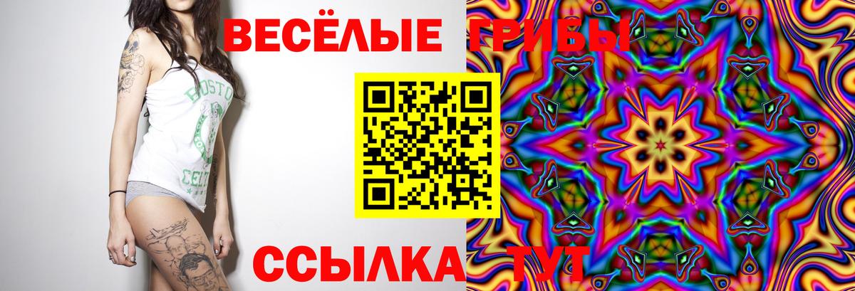 Галлюциногенные грибы прущие грибы  Галлюциногенные грибы MAGIC MUSHROOMS  Дзержинск  Вход с VPN 